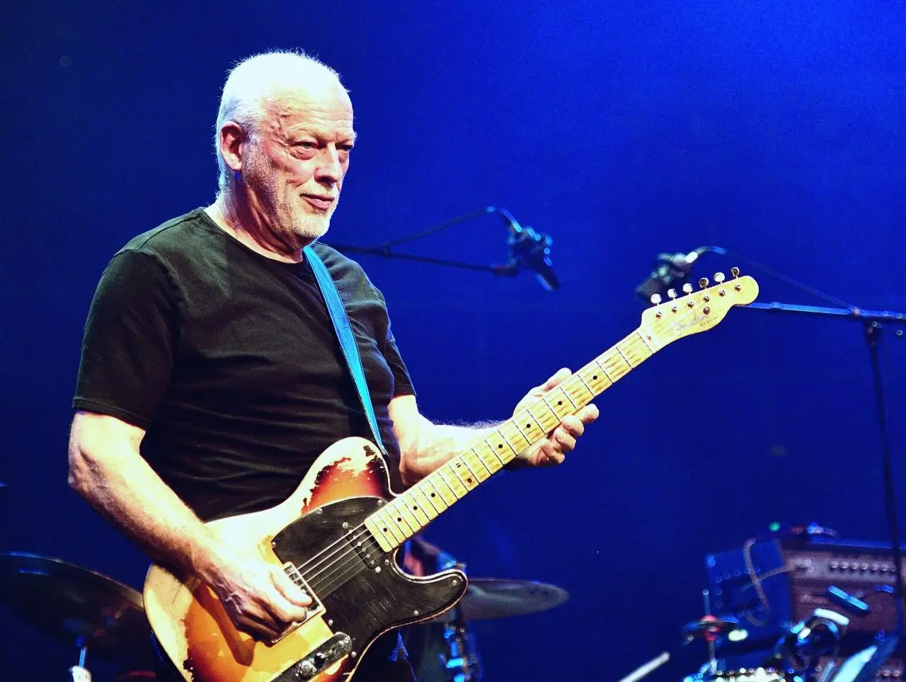 David-Gilmour-Guitar-Portrait